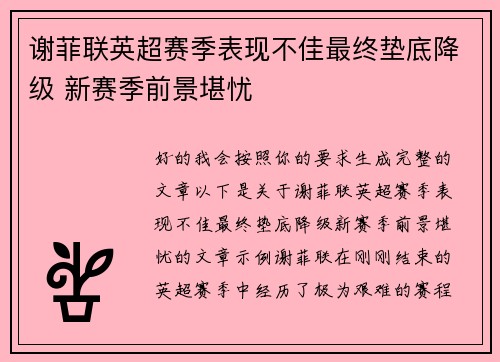 谢菲联英超赛季表现不佳最终垫底降级 新赛季前景堪忧